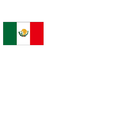 TEX MEX TACOS